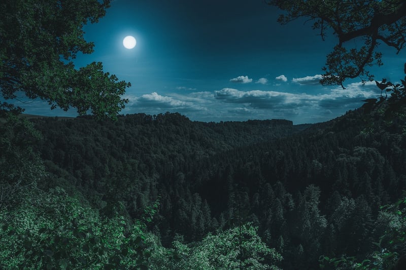 Moon Pies